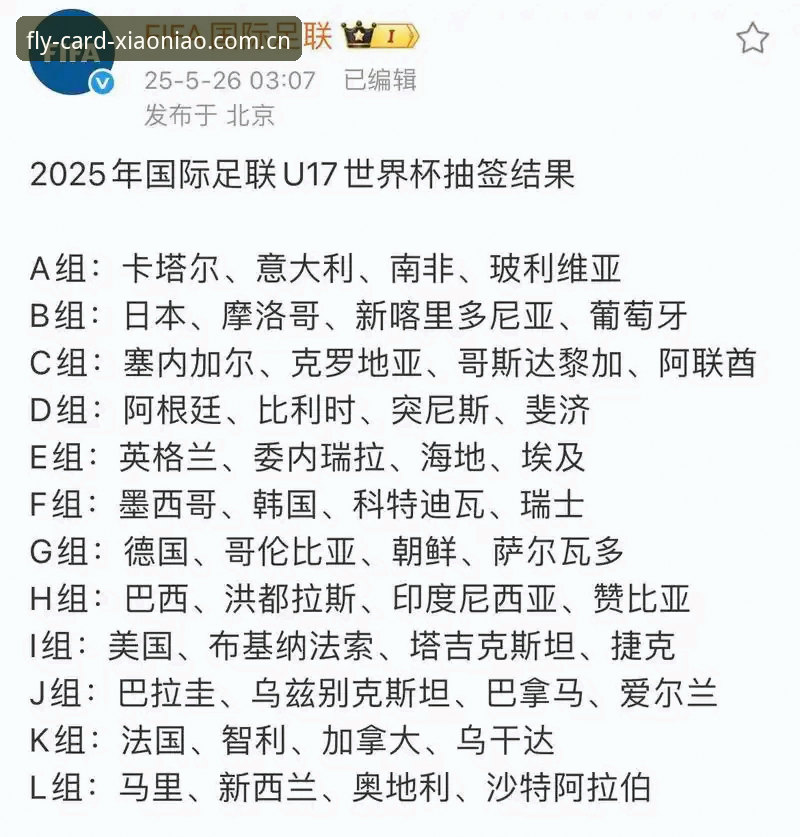 小鸟棋牌下载安装手机版 U17世界杯抽签深度解析:中国足球青训新格局与棋牌竞技的跨界思考